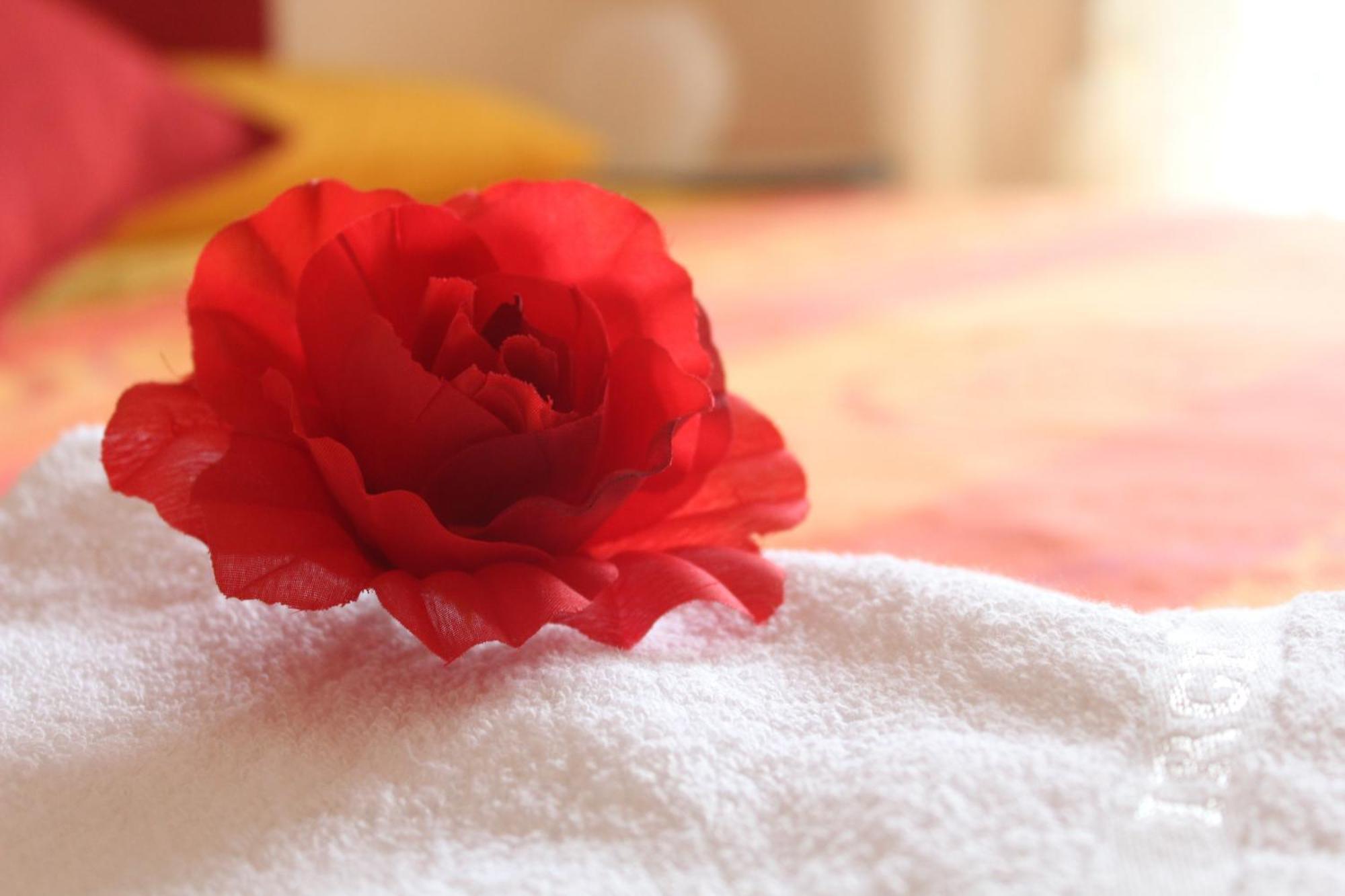 Colle Sul Mare Hotell Termoli Rom bilde